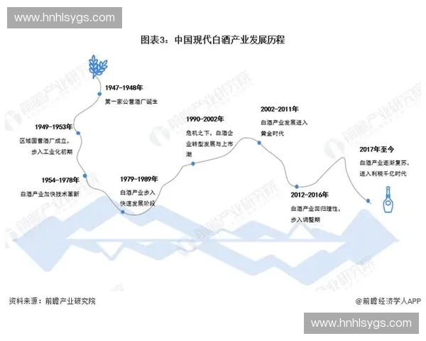 全景中国足球联赛升降级制度演变与未来发展趋势全面深度研究综述